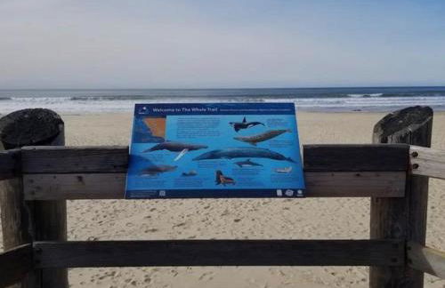 Pacific Plaza #304 - Condo on the Coastline - 1BdrmD-K-QSofa - Foto 24