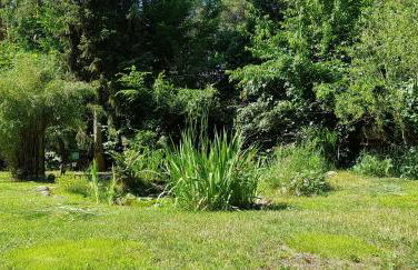 Ferienhaus Fichtenwalde, 160m², 3 SZ, 2 Bäder, bis 6 Personen, Garten, VDSL - Foto 29