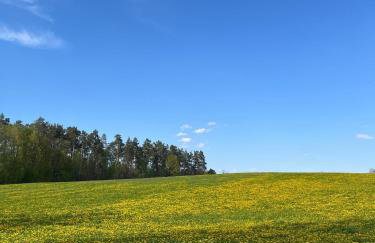 Nature Home Rybical - Foto 72