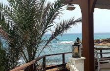 Rosa de la Sal - Foto 3