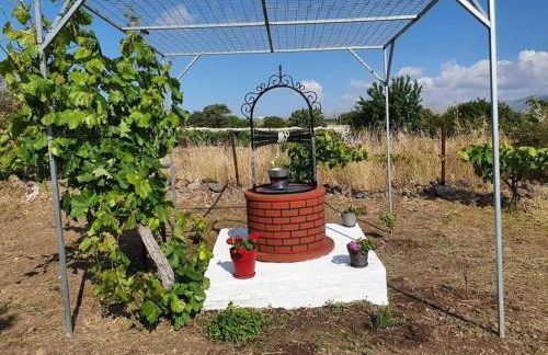 Ήσυχη μονοκατοικία κοντά στη θάλασσα!!! - Photo 16