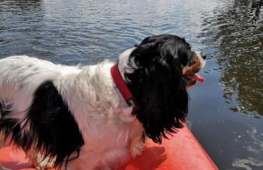 Ferienhäuser Pannier III und IV Doppelhaushälften - Foto 63