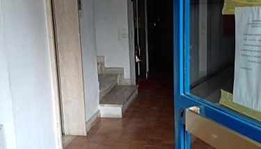 Mono-Selene - Foto 5