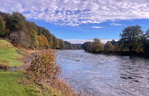 Daisy Cabin - Photo 38