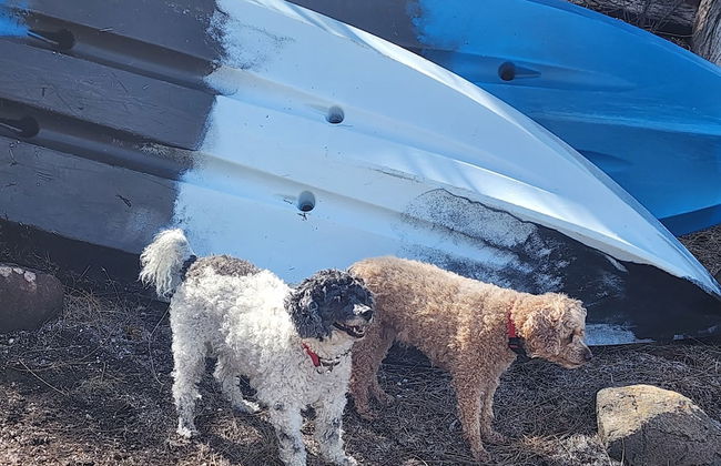 Flotsam Studio Accommodation - Photo 71