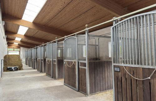 Ferienhaus mit Terrasse - Foto 48