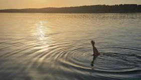 Ribeiros do Alqueva - Foto 4