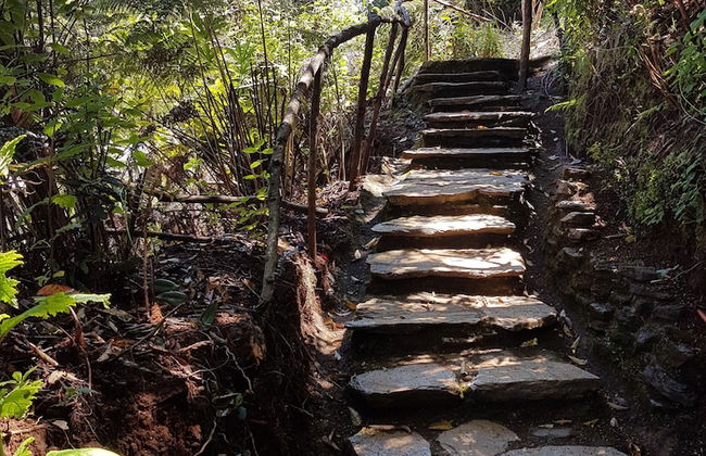 La Rueda del Chucao - Foto 66