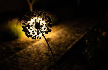 Cicha Zdrój - Foto 36