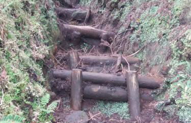 Vivenda Areias - Photo 33