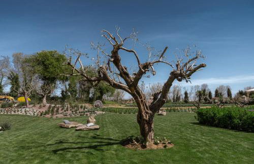 Luxury Villa Mei - SPA, Pool & Jacuzzi-Wedding - Foto 7