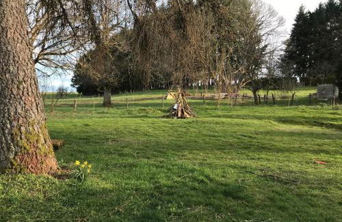 Le 115 Retour aux Sources - Foto 35