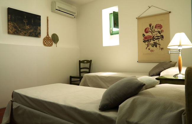 Azienda Agricola Francesca Stajano - Foto 16