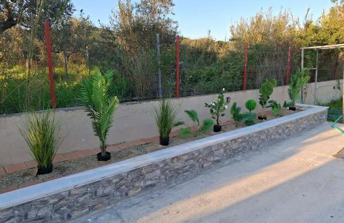 Κτήμα Καρνέση 1 - Foto 2