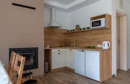 APARTAMENTY ZAZAMCZE - Foto 7