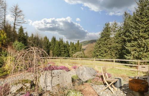 The Lodge - Photo 21