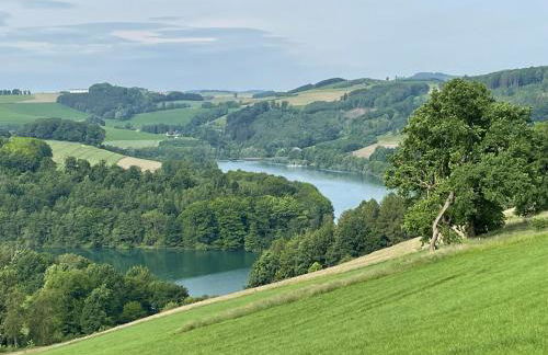 Sauerländer Henne-Lütt - Foto 21