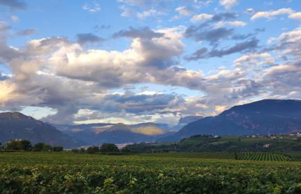 Oberberghof - Foto 42