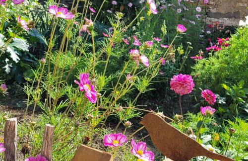 Ferienhaus No 11 in der Altstadt 160 qm 5 Pers - Photo 40