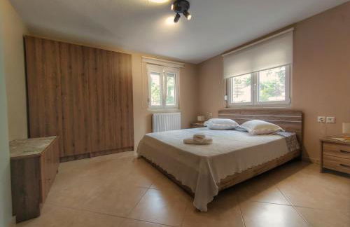 Stellar Blue Palio - Foto 16