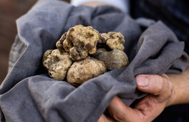 Agriturismo Ca' del Re - Foto 40