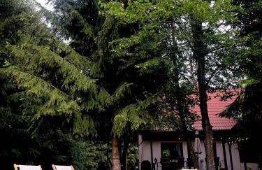 Sielanka Kretowiny - Foto 61