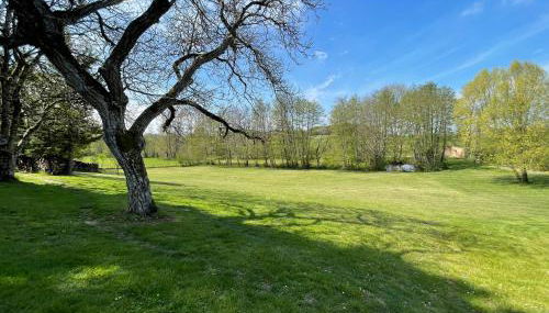 Gîtes du Moulin à Tan à Saché 37 - Photo 4, Garden view