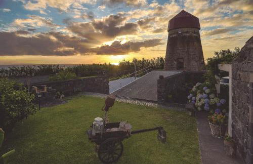 O Moinho Da Bibi - Photo 22