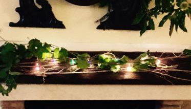 Agriturismo Cà Nuova - Foto 3