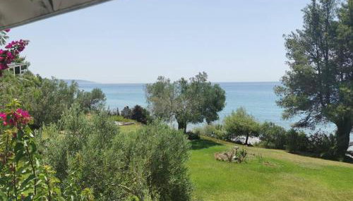 Απέραντο γαλάζιο Le grand blue - Foto 2