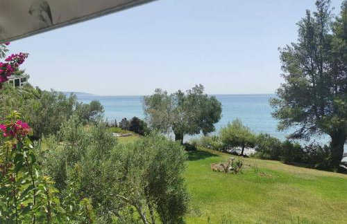 Απέραντο γαλάζιο Le grand blue - Foto 2