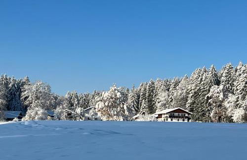 Goldbichl - Photo 27