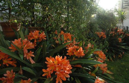 Il Giardino dei Gigli - Photo 29