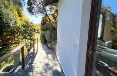 Mid of Nature ' Bella Vista Lago Maggiore charmant mit traumhaften Seeblick, Terrasse und großen Garten - Foto 42