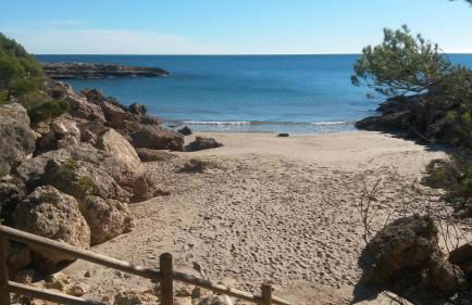 ROQUES DAURADES III - JARDIN PRIVADO - Foto 29