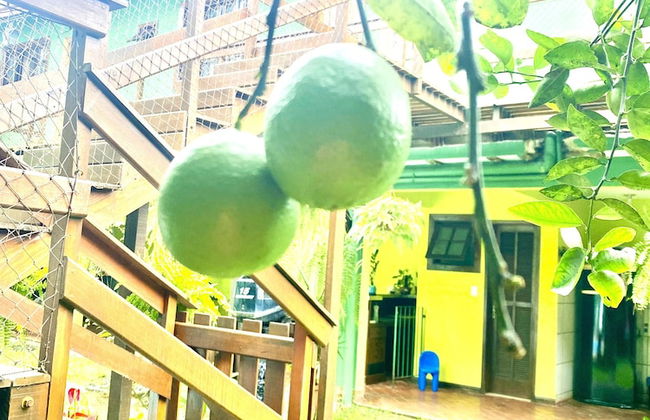 Suítes aconchegantes com piscina e praia - Foto 16