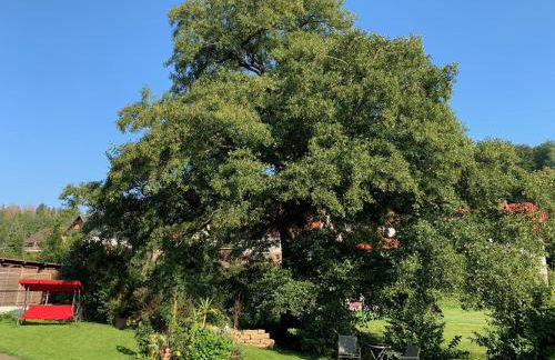 Ferienwohnung am Rennsteig bei Eisenach - Ilona Schmidt - Foto 17