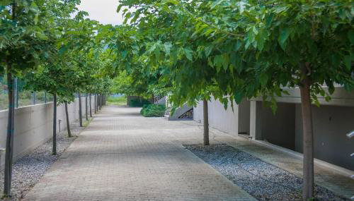 Luxury Villas 3 - Foto 4