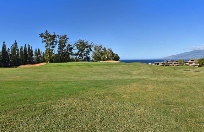 Kapalua Ridge Villas 311 - Photo 31