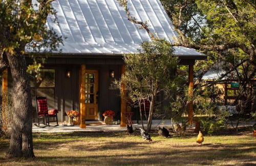 Feed Deer and Chickens Cozy Cottage 8 min to Boerne - Photo 33