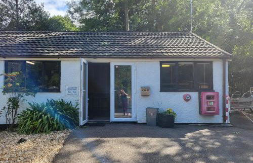 Bumbeldink - Foto 49