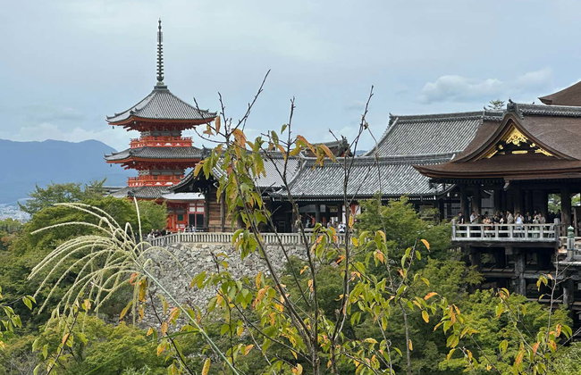 Excursão a Kyoto - Foto 3