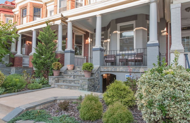 Honey Suite - Luxury Bed - Peaceful and Quiet Central D.C. - Foto 1