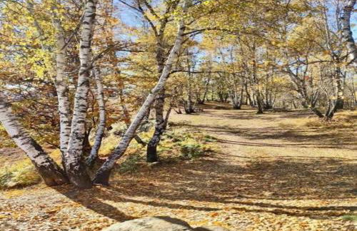 Holiday Home near Lake Maggiore, Italy - Foto 23