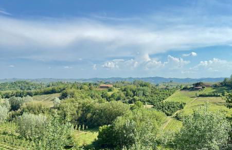 Villa Monferrina - Pool - Unesco Heritage - Photo 60