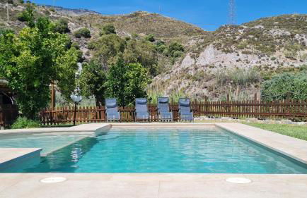 Tropical Studio - Foto 39