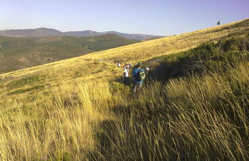 Apimonte Casa do Pascoal - PN Montesinho - Foto 62