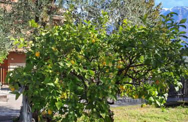 Oma Margareta Apartment - Foto 59