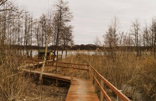 Domki Lawendowy Zakątek - Foto 29