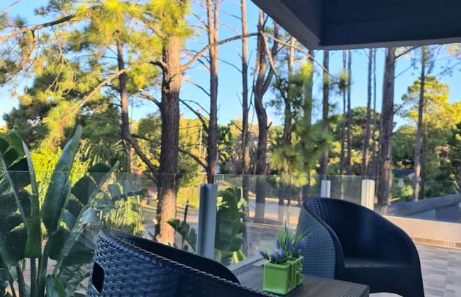 Departamento 3 Ambientes 2 Baños Pinamar Centro - Foto 6